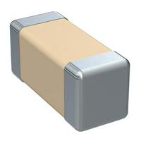 C0603X332K2RECTU