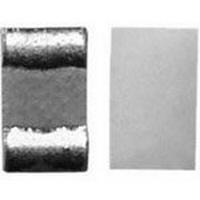 CH0402-100RFNT