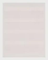 S100X225YAJ