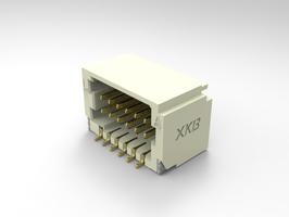X1011WRS-2x06-9TV01