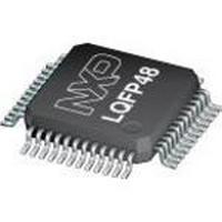 LPC1114FBD48/333,1